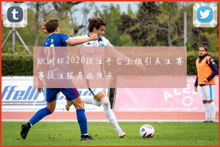 欧洲杯2020投注平台上线引关注 赛事投注服务成焦点