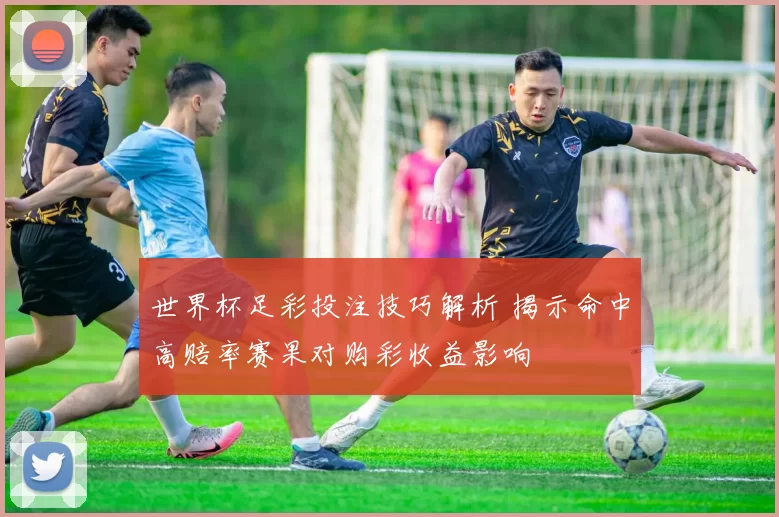 世界杯足彩投注技巧解析 揭示命中高赔率赛果对购彩收益影响