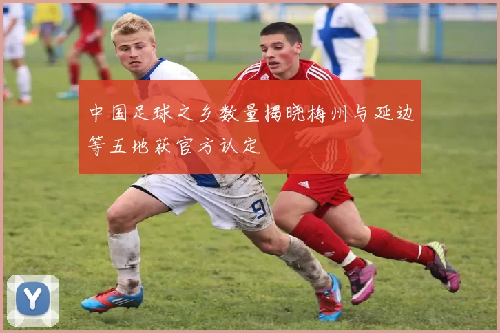 中国足球之乡数量揭晓梅州与延边等五地获官方认定